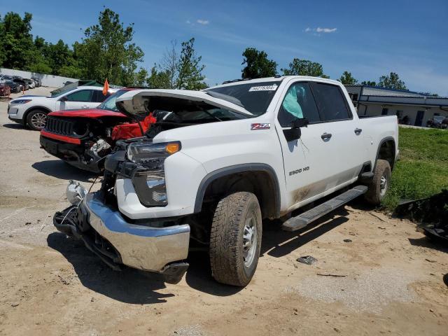 CHEVROLET SILVERADO 2020 1gc4yle77lf122664