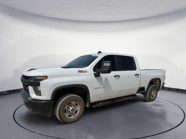 CHEVROLET SILVERADO 2020 1gc4yle78lf114475