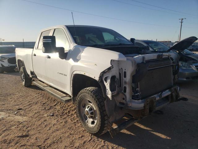 CHEVROLET SILVERADO 2020 1gc4yle79lf306617