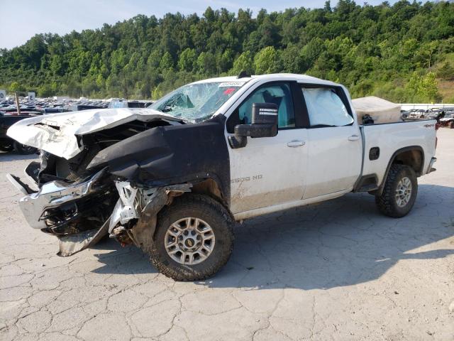 CHEVROLET SILVERADO 2020 1gc4yne71lf115088