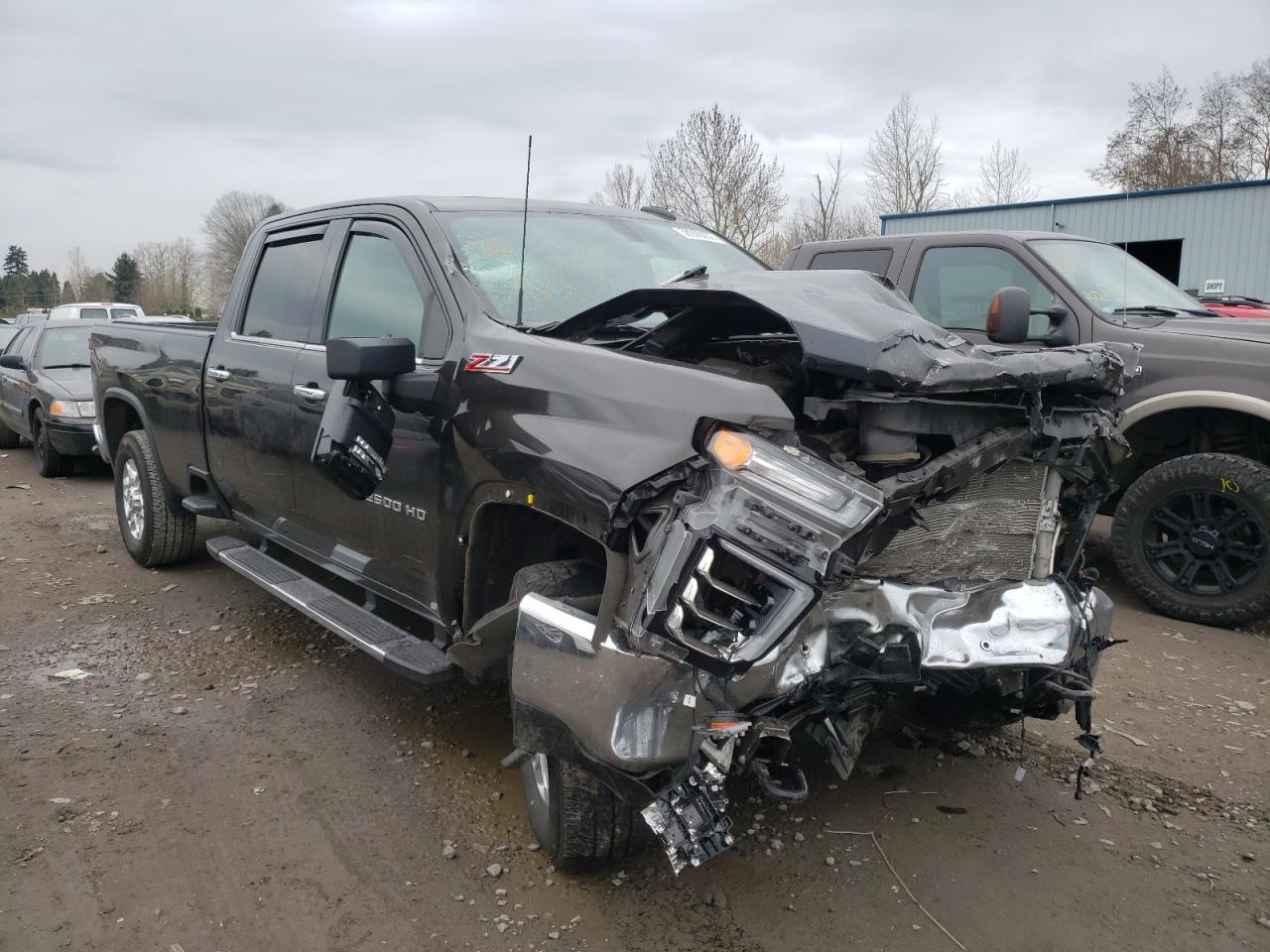 CHEVROLET SILVERADO 2020 1gc4ypey4lf190579