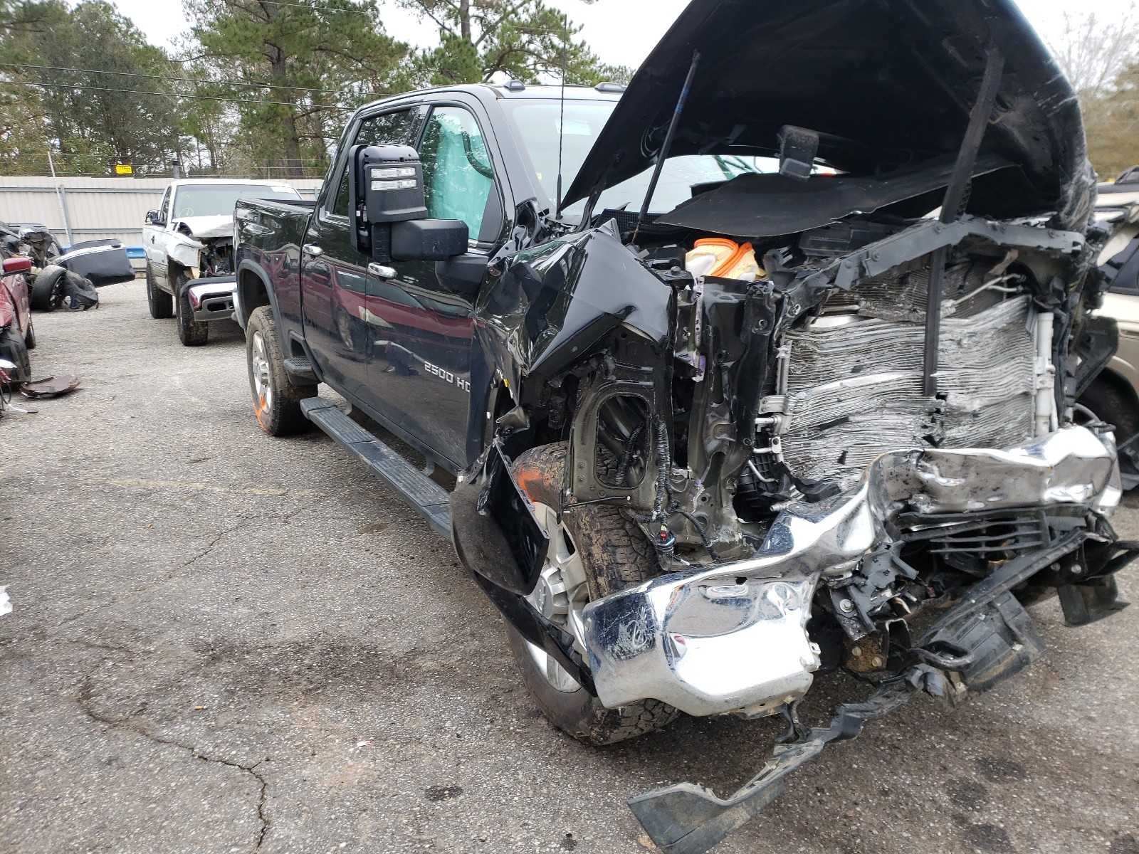 CHEVROLET SILVERADO 2020 1gc4ypey7lf104651