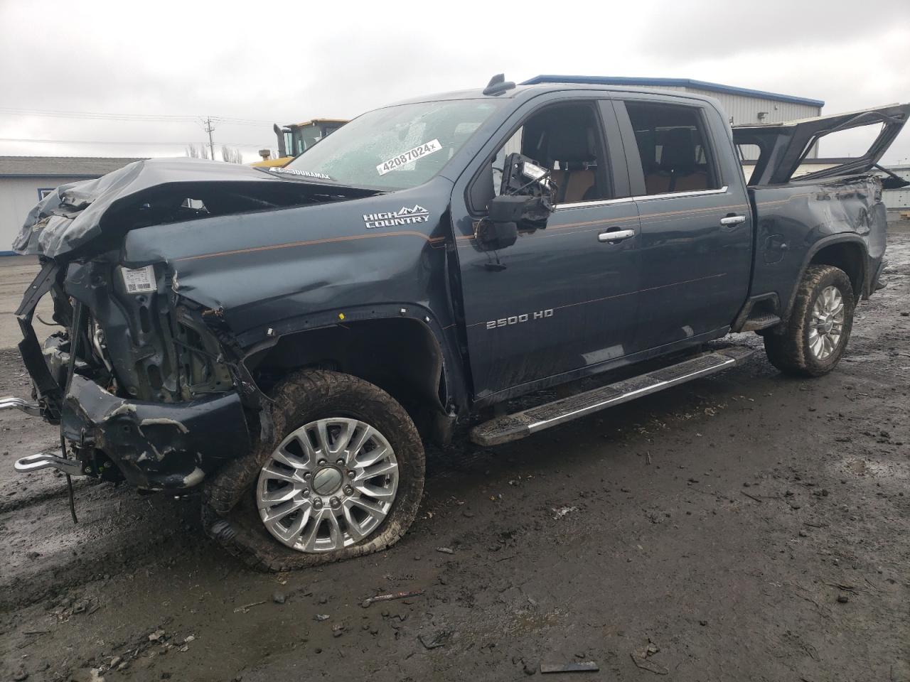 CHEVROLET SILVERADO 2020 1gc4yrey0lf301947