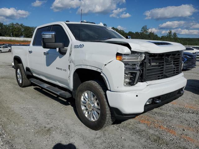 CHEVROLET SILVERADO 2021 1gc4yrey0mf199549