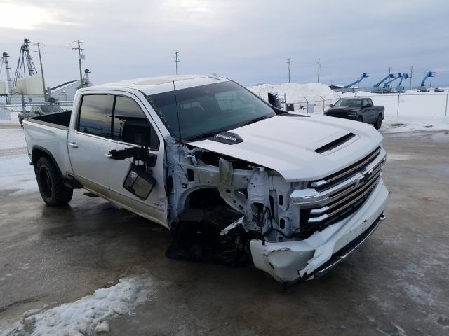 CHEVROLET SILVERADO 2020 1gc4yrey3lf221459