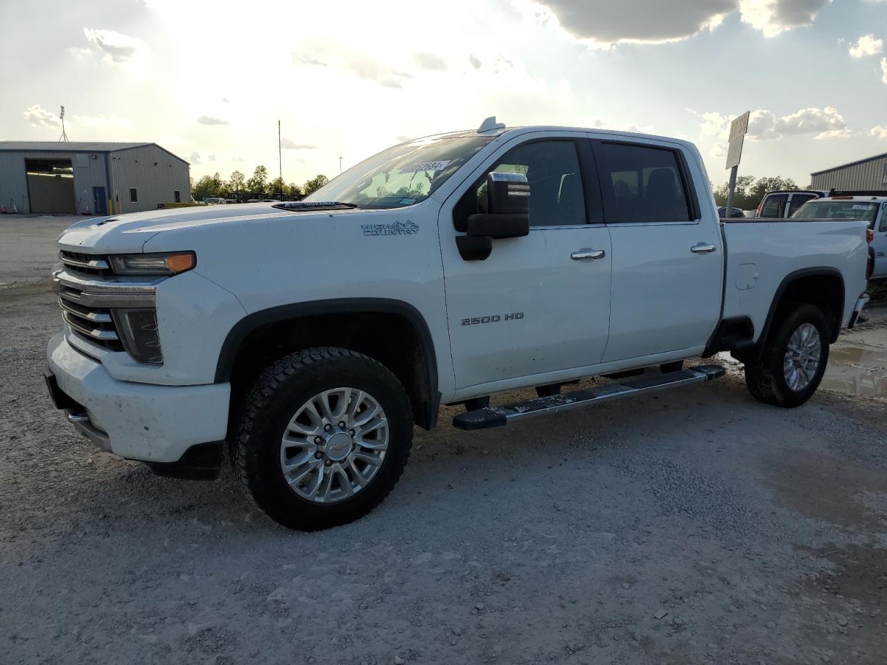 CHEVROLET SILVERADO 2021 1gc4yrey5mf170757