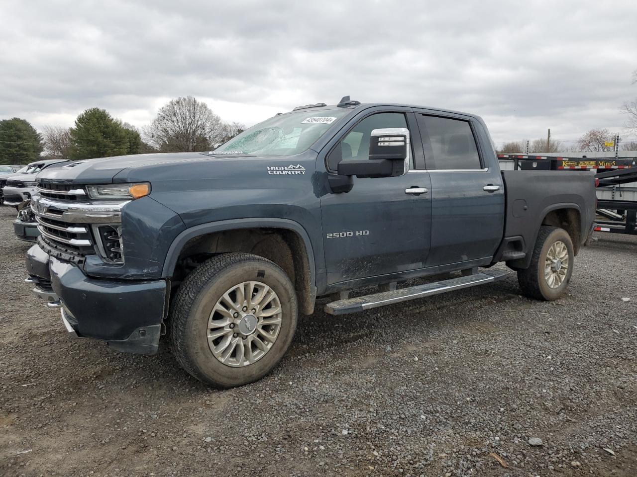 CHEVROLET SILVERADO 2020 1gc4yrey9lf168041