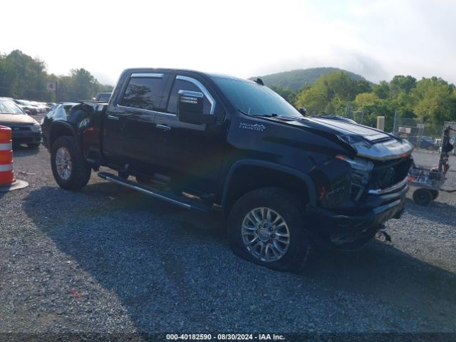 CHEVROLET SILVERADO 2020 1gc4yrey9lf290740