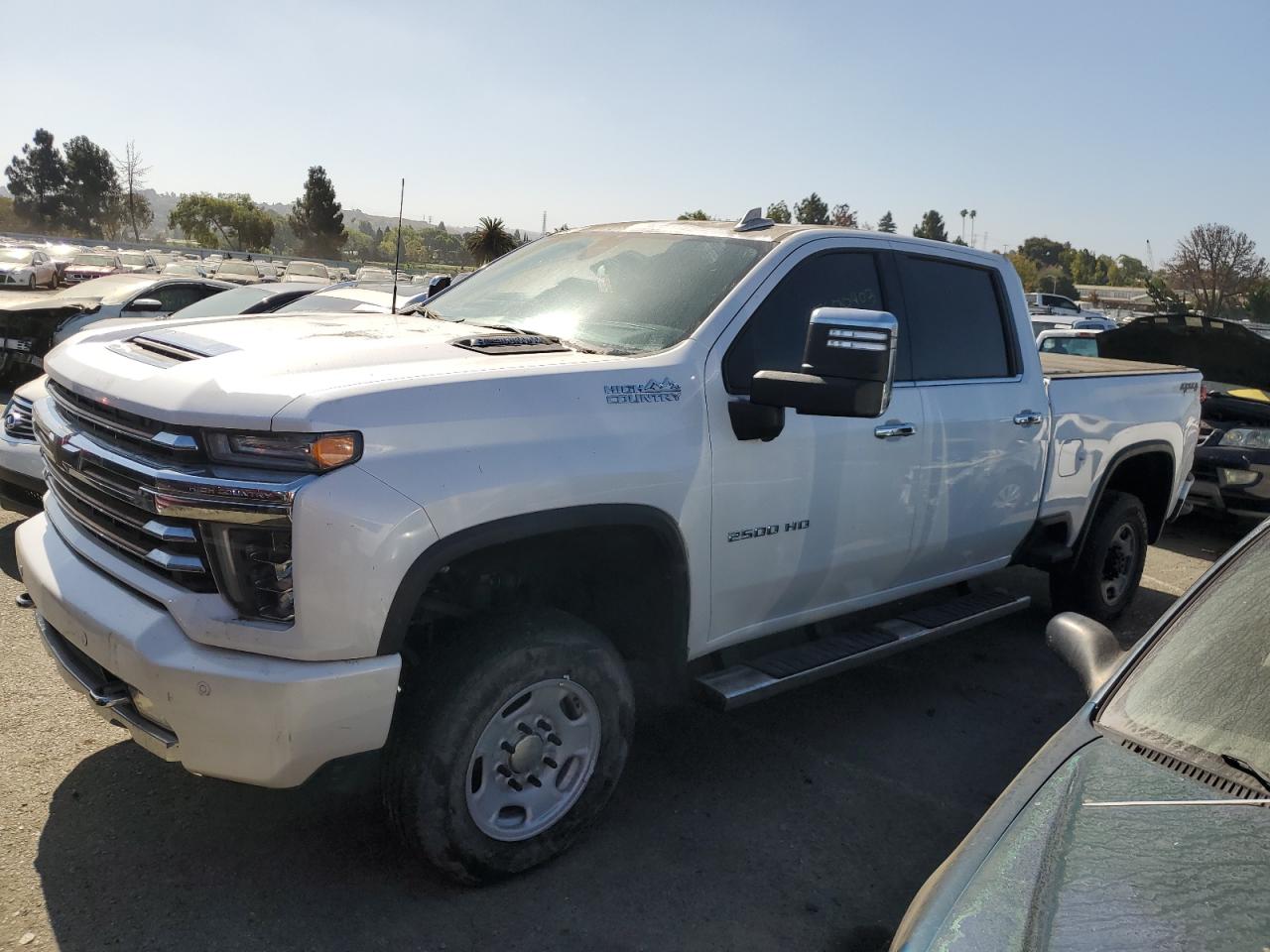 CHEVROLET SILVERADO 2020 1gc4yreyxlf173099