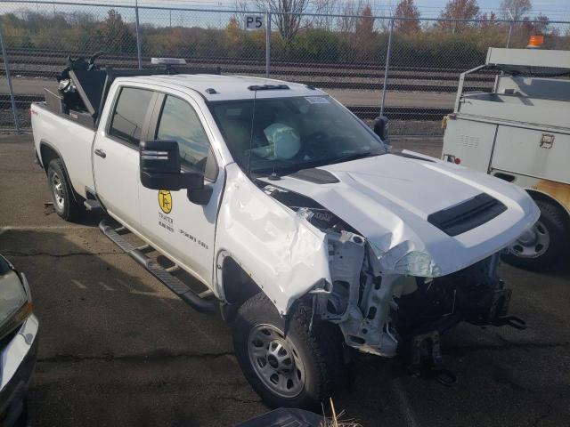 CHEVROLET SILVERADO 2020 1gc4yse74lf294760