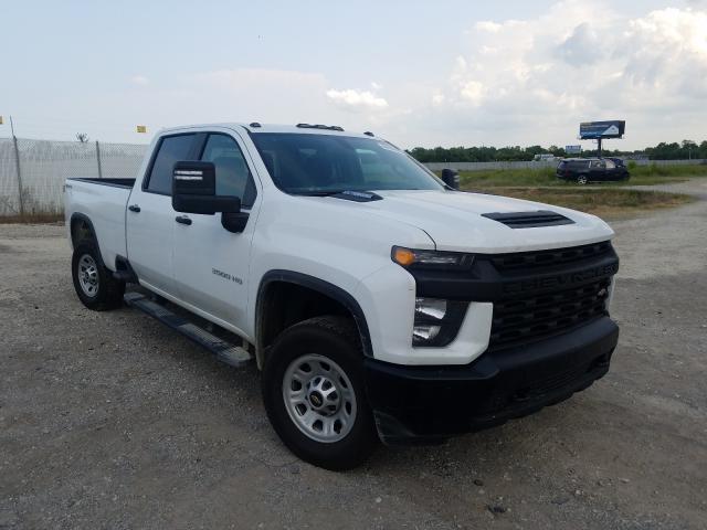 CHEVROLET SILVERADO 2020 1gc4ysey6lf249781