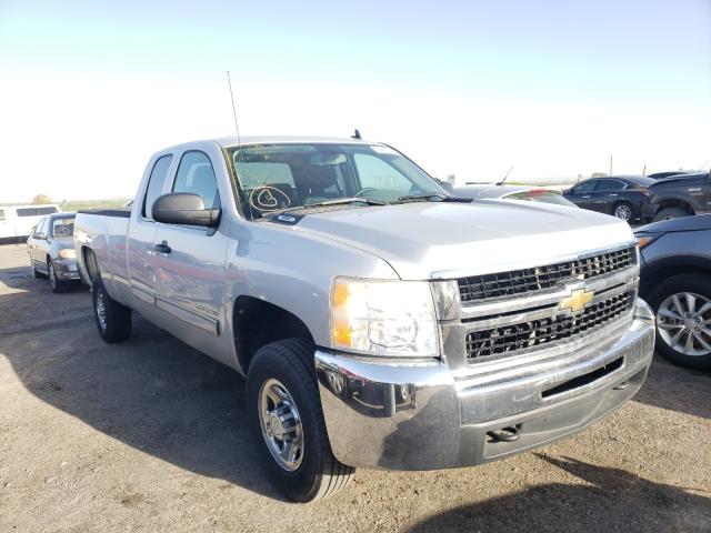 CHEVROLET SILVERADO 2010 1gc5cxbg0az217223