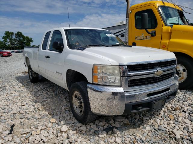 CHEVROLET SILVERADO 2010 1gc5cxbg1az247377