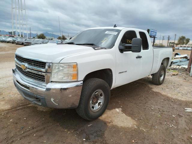 CHEVROLET SILVERADO 2010 1gc5cxbg3az247557