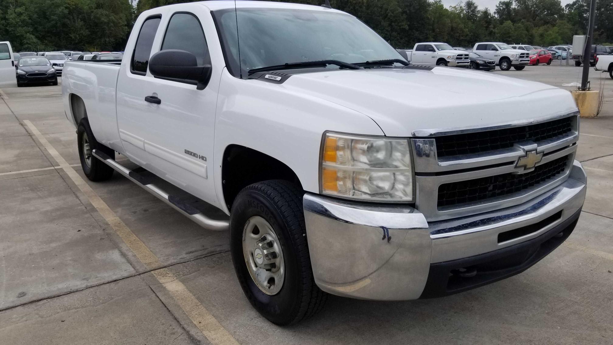 CHEVROLET SILVERADO 2010 1gc5cxbg4az197445