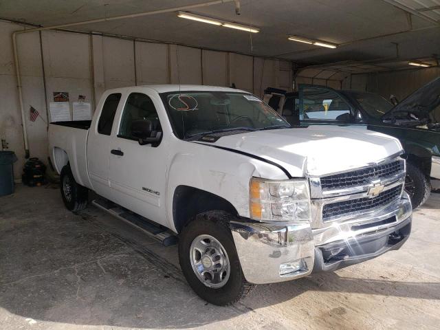 CHEVROLET SILVERADO 2010 1gc5cxbg6az267298