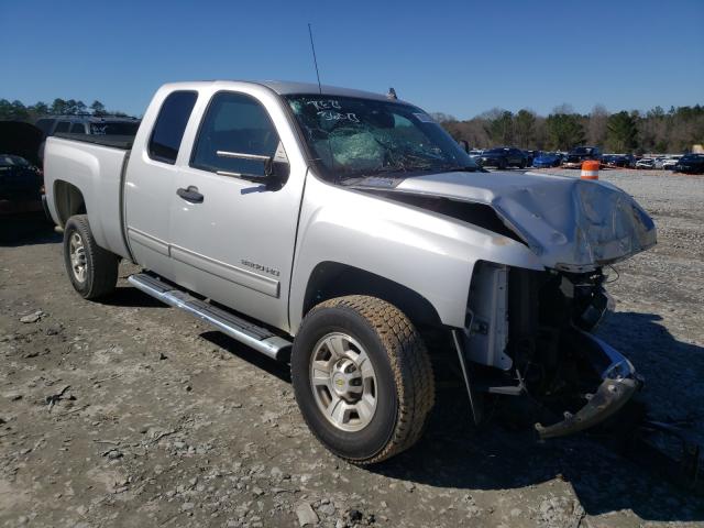 CHEVROLET SILVERADO 2010 1gc5cxbgxaz217519