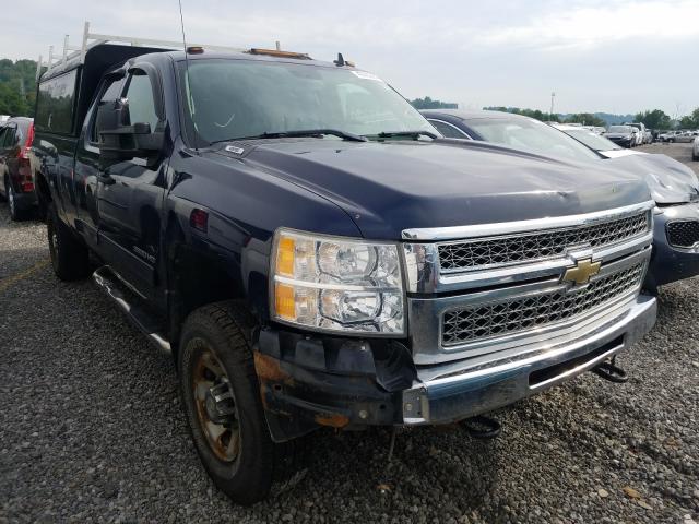 CHEVROLET SILVERADO 2010 1gc5k0bg6az198087