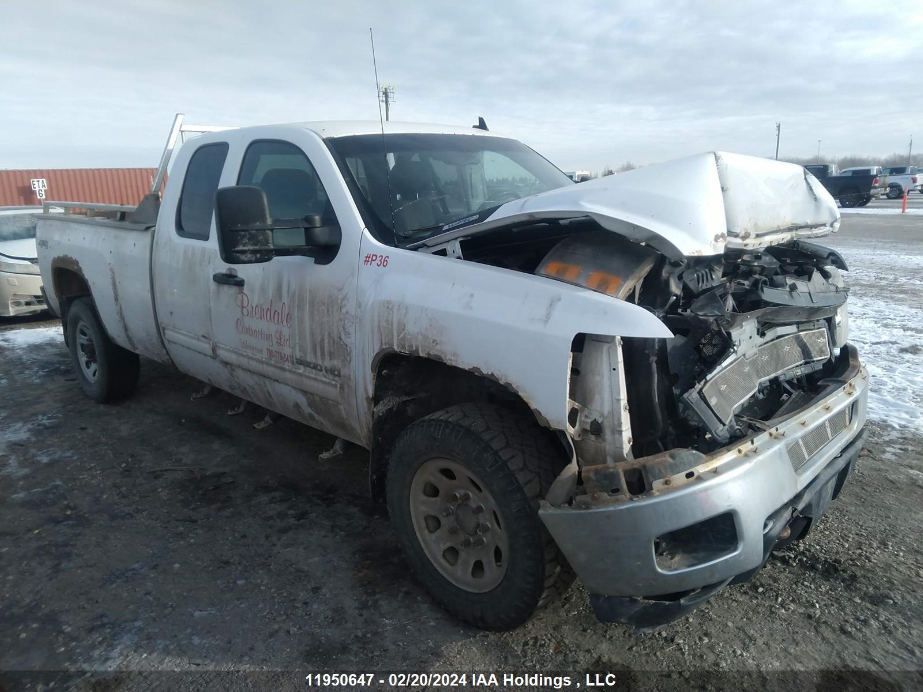 CHEVROLET SILVERADO 2011 1gc5k0cg6bz457693