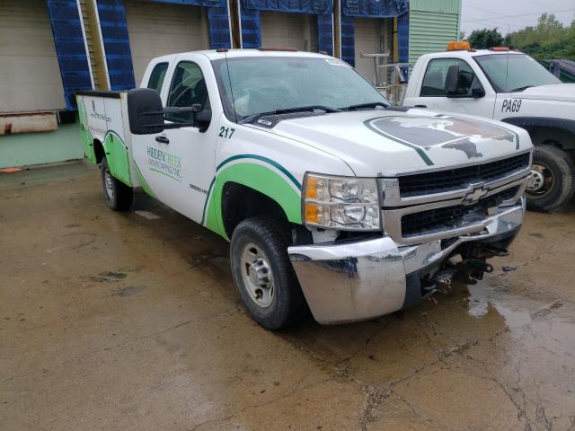 CHEVROLET SILVERADO 2010 1gc5kvbg4az247333