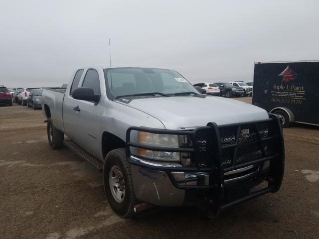 CHEVROLET SILVERADO 2010 1gc5kvbg7az204802