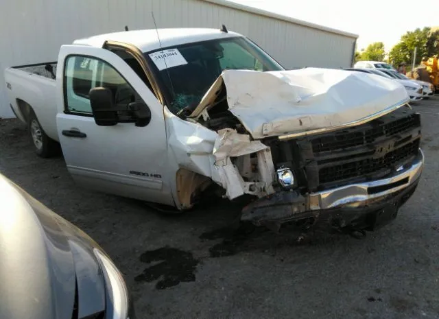 CHEVROLET SILVERADO 2500HD 2010 1gc5kxbg1az237659