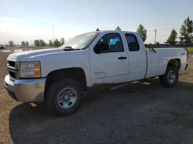 CHEVROLET SILVERADO 2010 1gc5kxbg3az258951