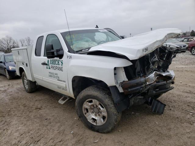 CHEVROLET SILVERADO 2010 1gc5kxbg6az197305