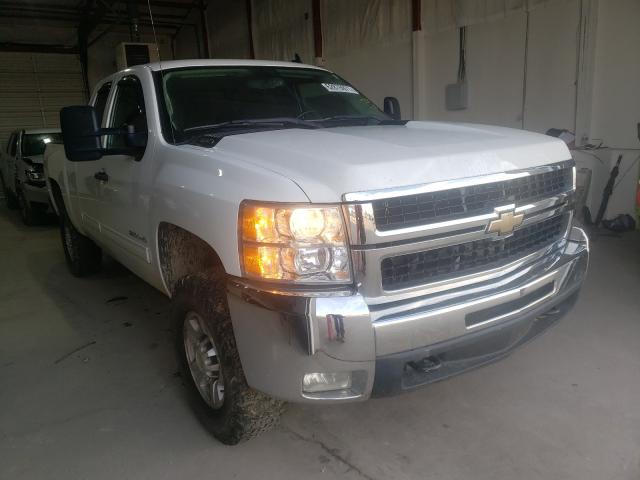 CHEVROLET SILVERADO 2010 1gc5kxbg7az220879