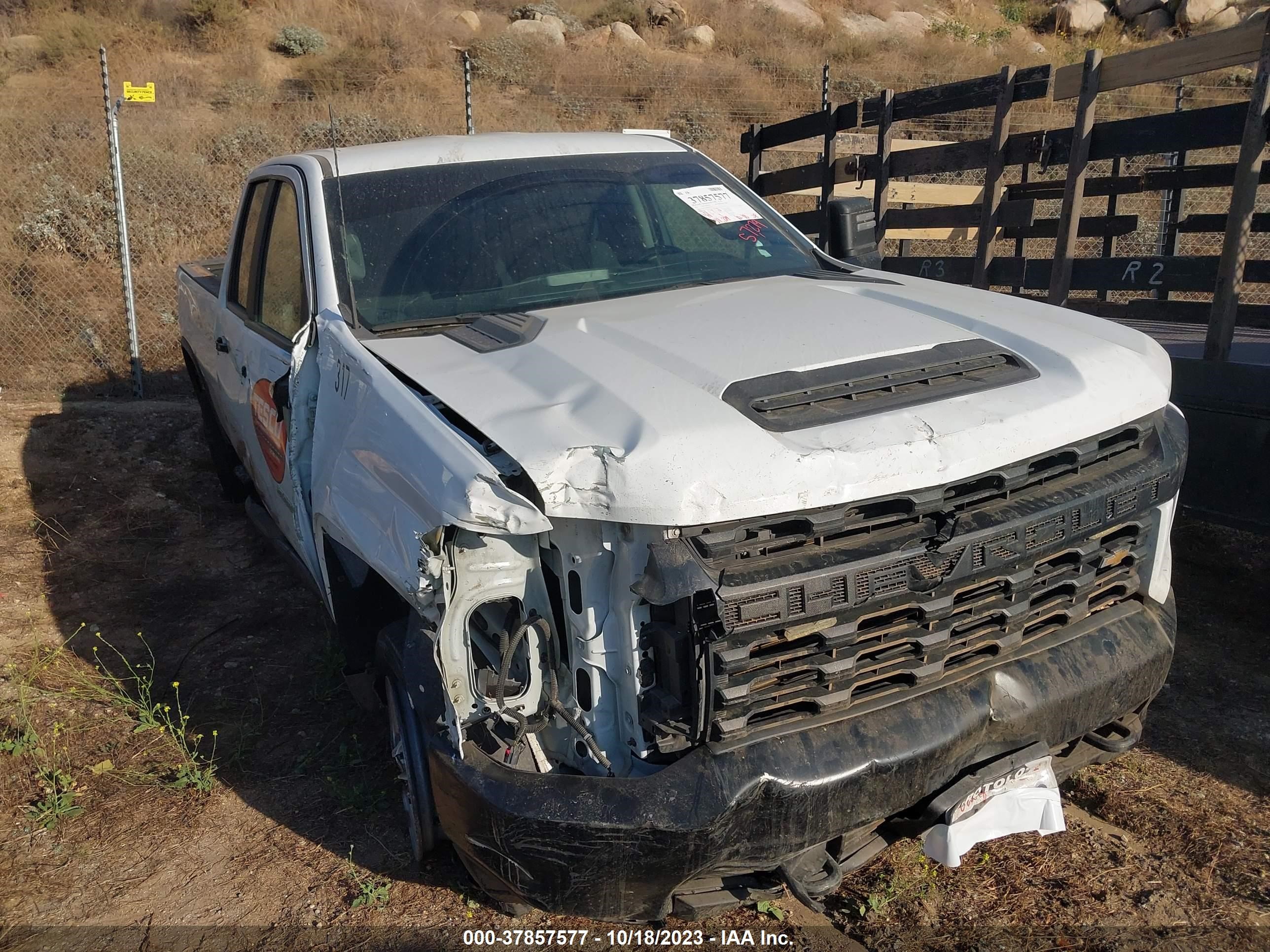 CHEVROLET SILVERADO 2021 1gc5wle7xmf260310