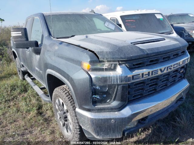 CHEVROLET SILVERADO 2020 1gc5wne74lf246509