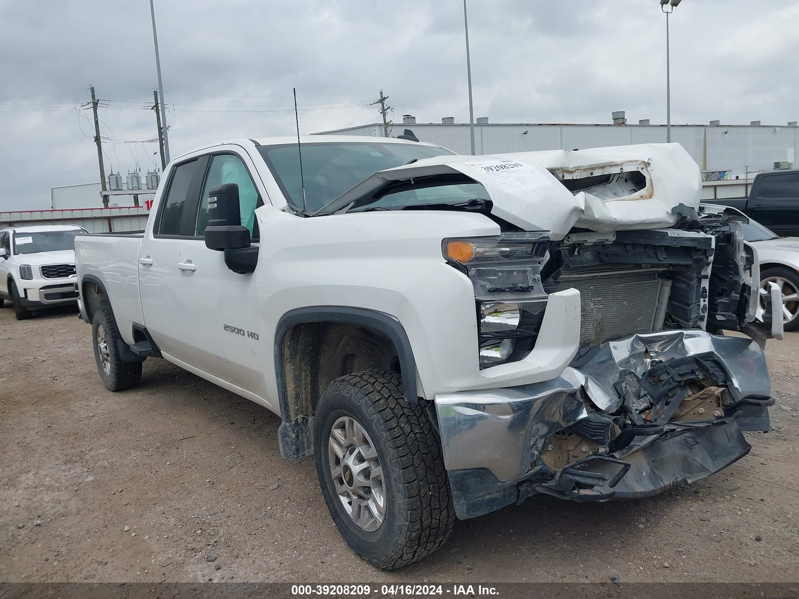 CHEVROLET SILVERADO 2020 1gc5wne75lf226897