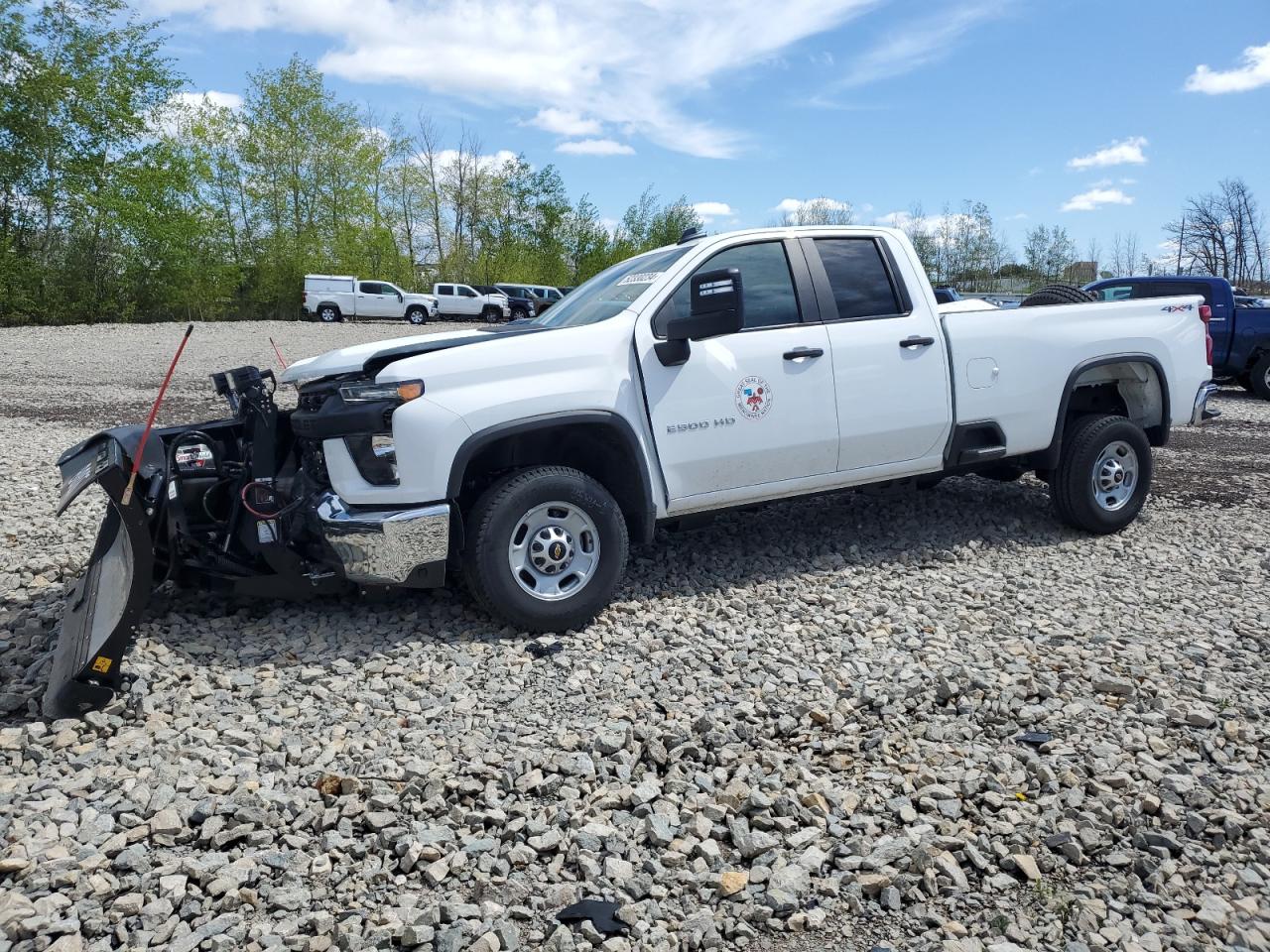 CHEVROLET SILVERADO 2023 1gc5yle74pf246448