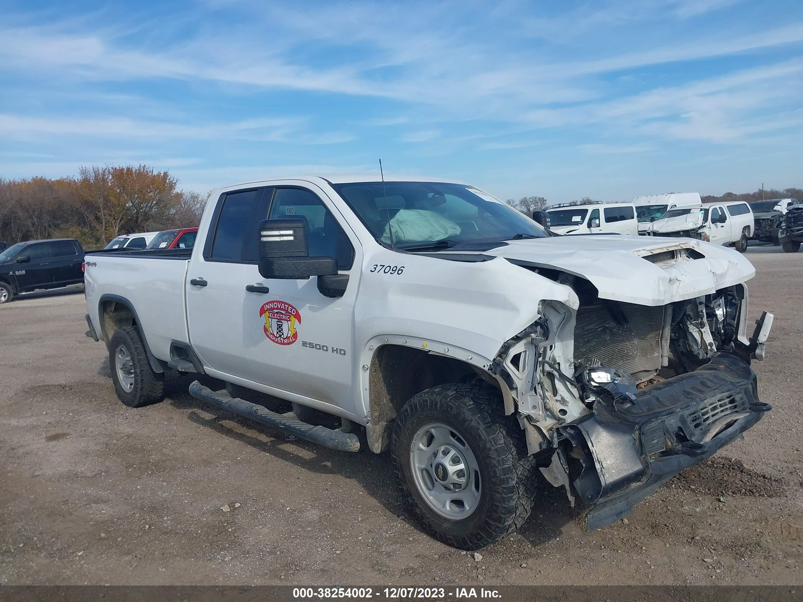 CHEVROLET SILVERADO 2020 1gc5yle75lf223822