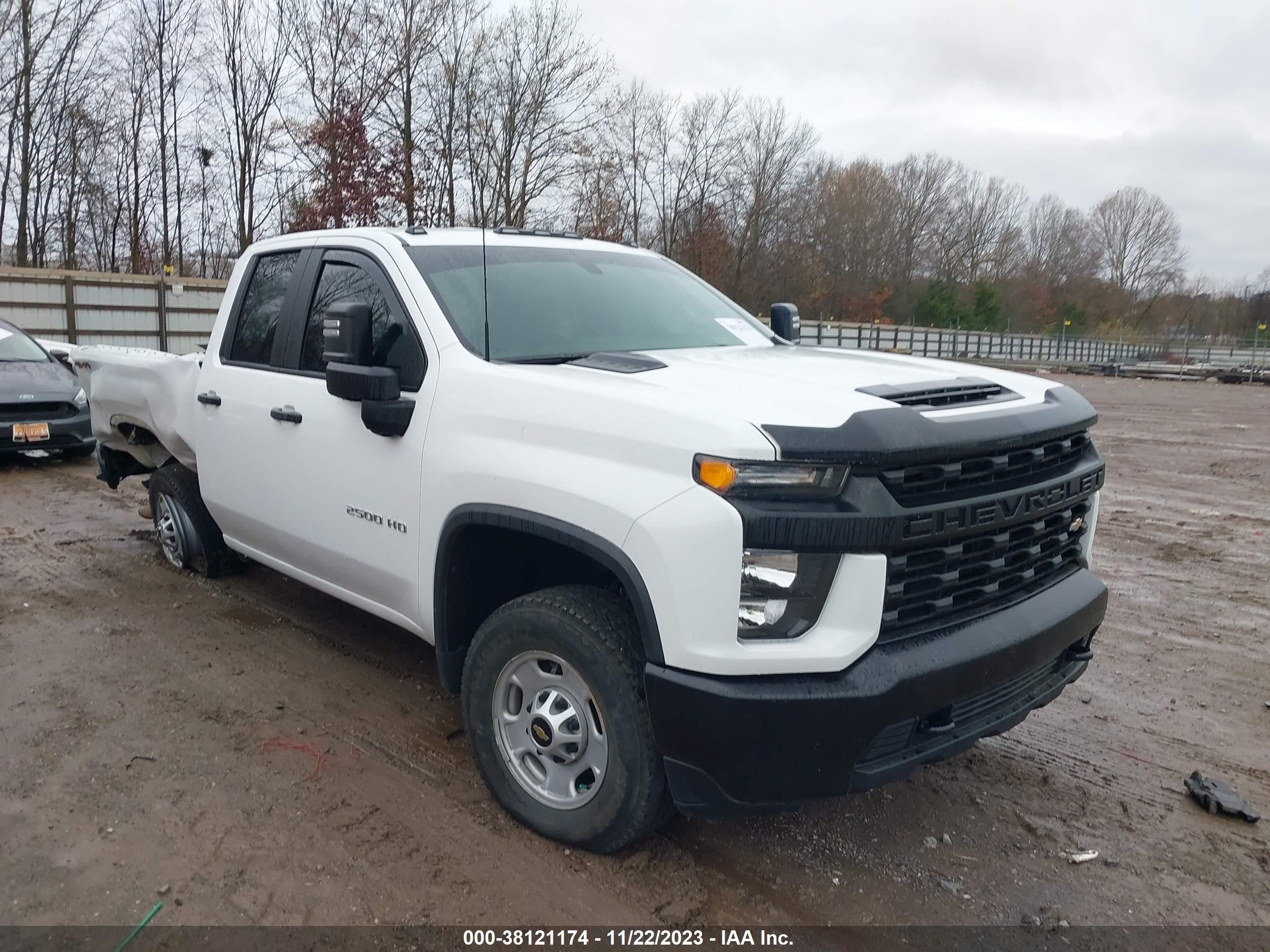 CHEVROLET SILVERADO 2020 1gc5yle75lf253189