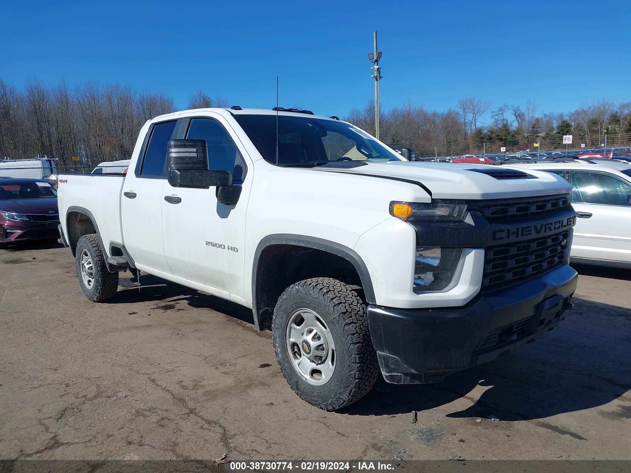 CHEVROLET SILVERADO 2021 1gc5yle76mf203273