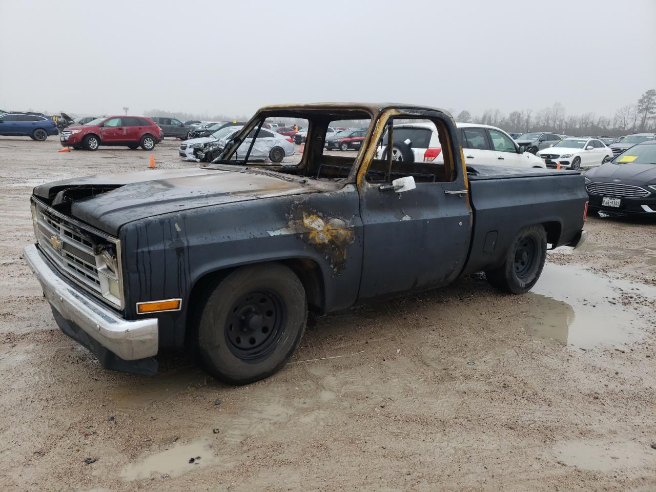 CHEVROLET C-10 1981 1gccc14d5bs174662