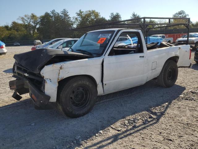 CHEVROLET S TRUCK S1 1991 1gccs14a7m8295461