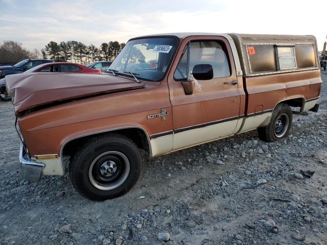 CHEVROLET C10 1981 1gcdc14d2bs181234