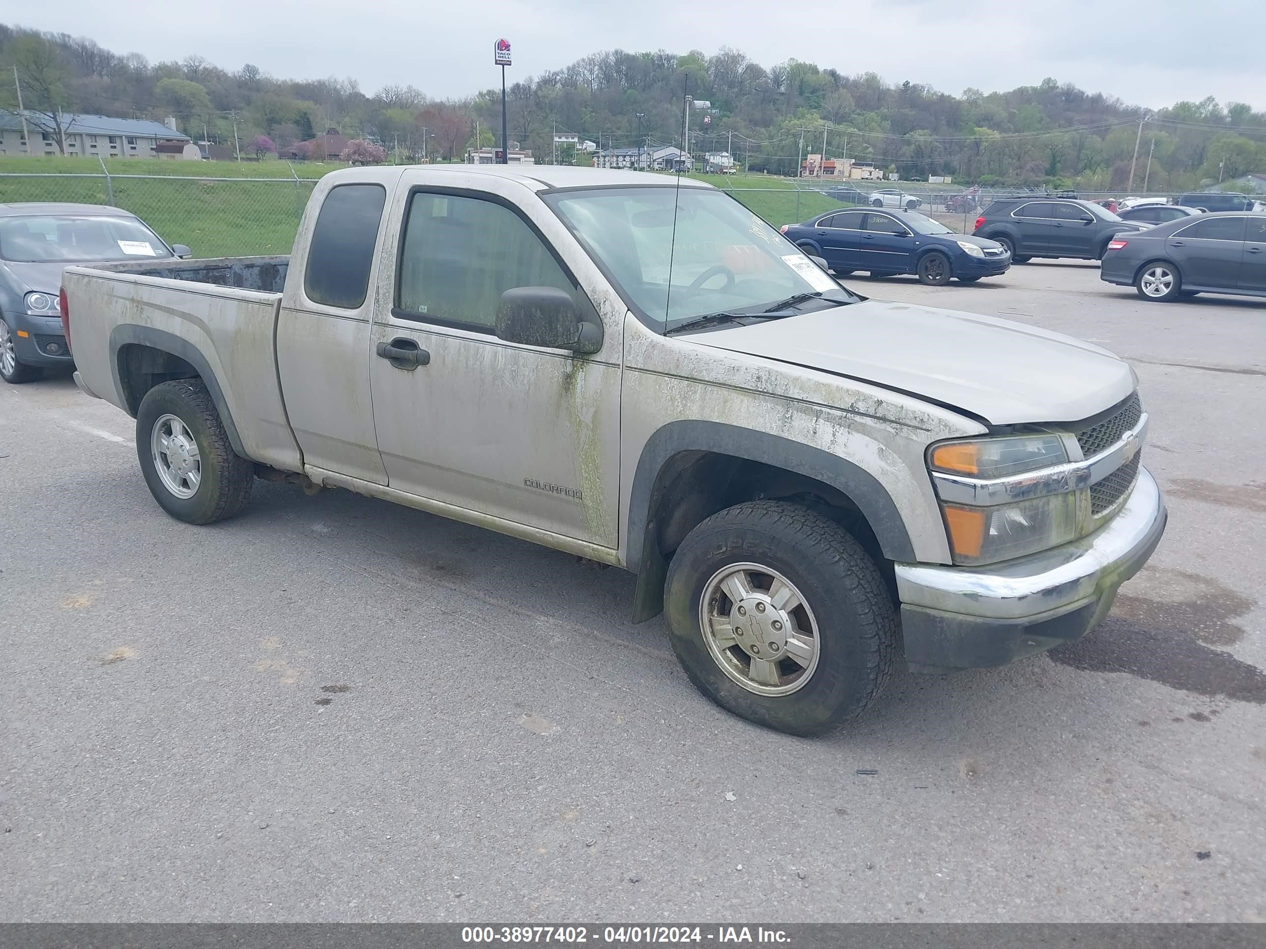 CHEVROLET COLORADO 2004 1gcdt196248125739