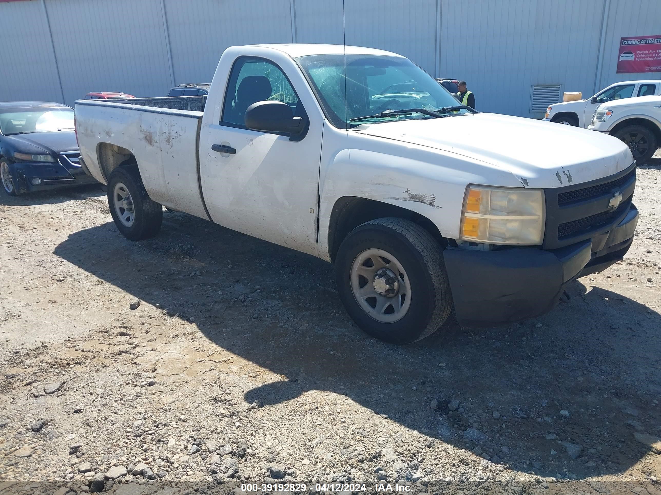 CHEVROLET SILVERADO 2008 1gcec14x38z156969