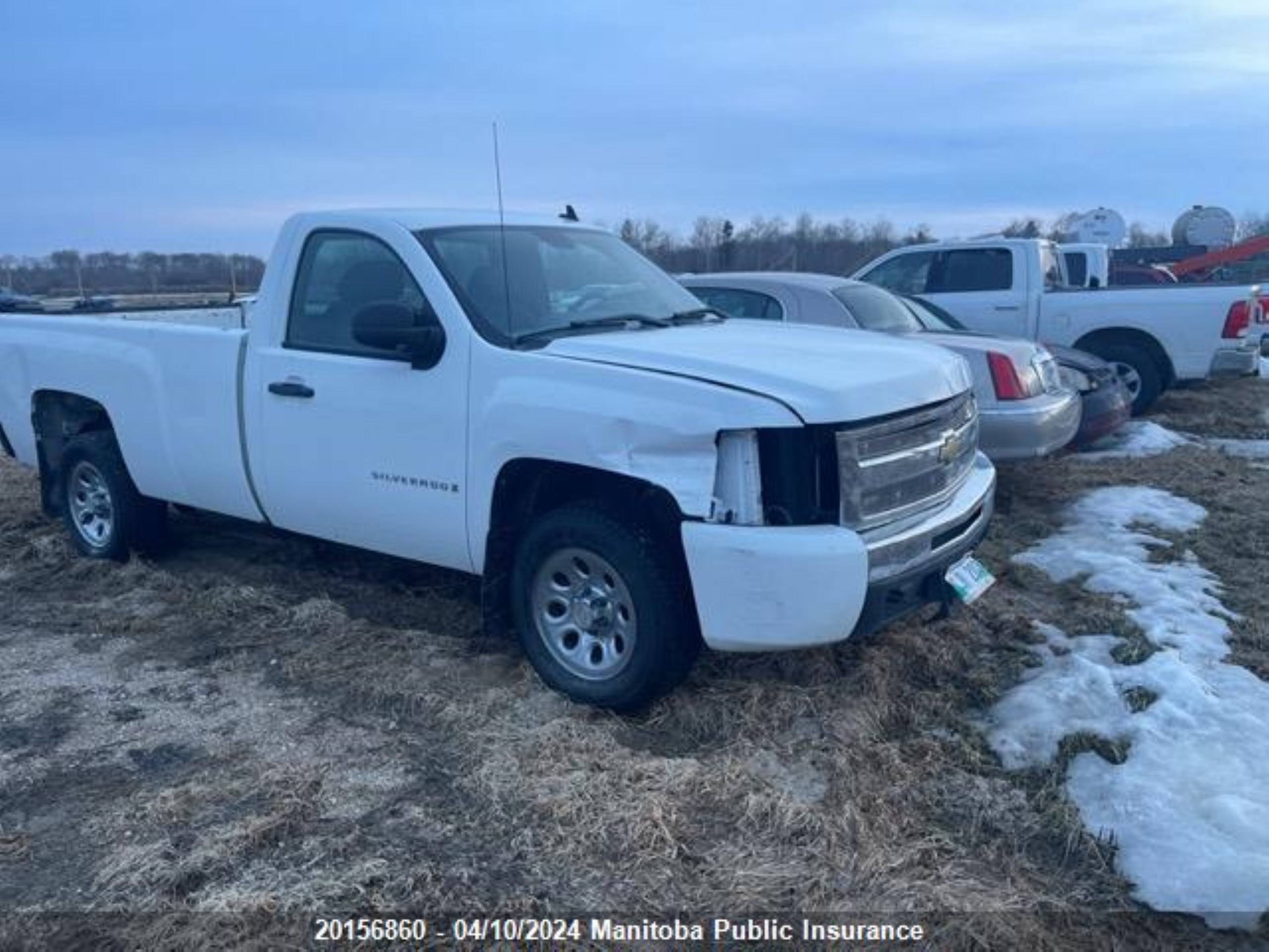 CHEVROLET SILVERADO 2009 1gcec14x39z213639