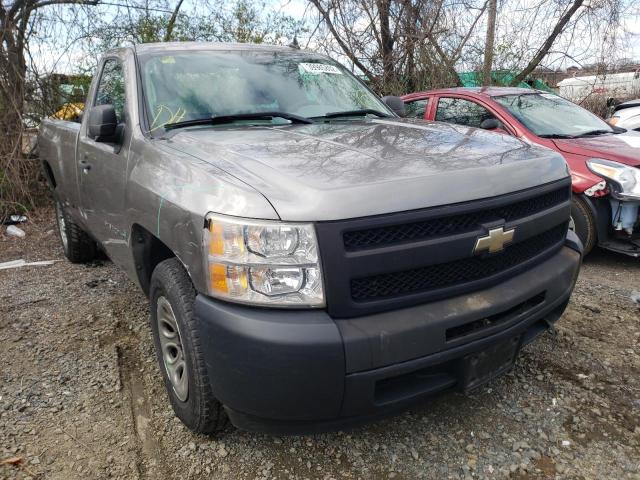 CHEVROLET SILVERADO 2009 1gcec14x79z237460