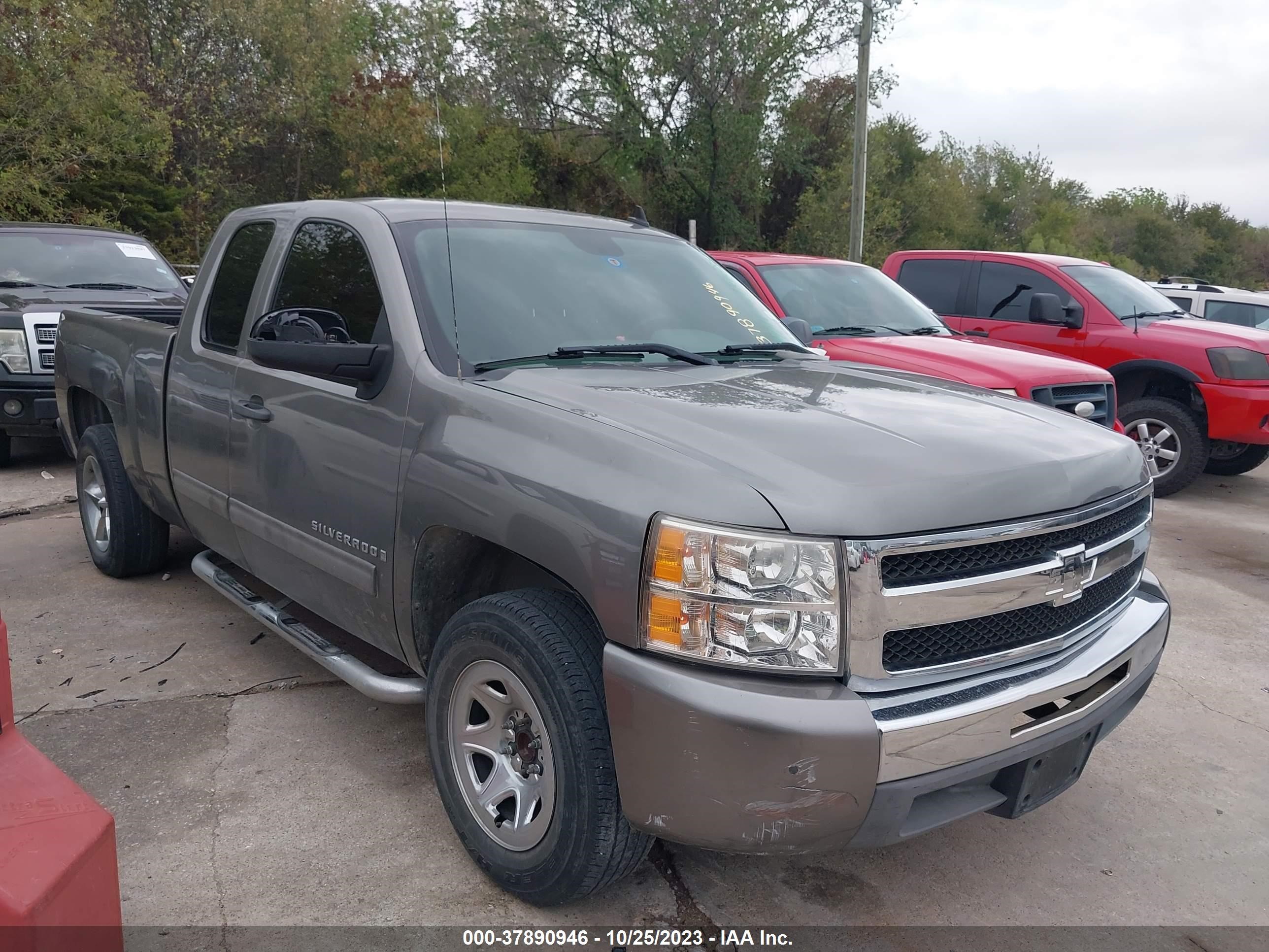 CHEVROLET SILVERADO 2009 1gcec19c09z197518