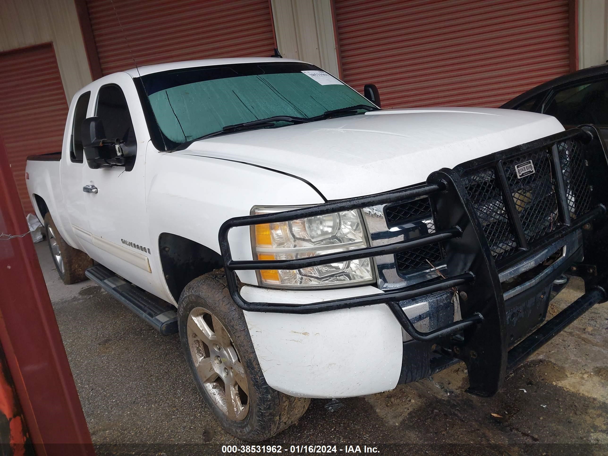 CHEVROLET SILVERADO 2009 1gcec29c29z264934