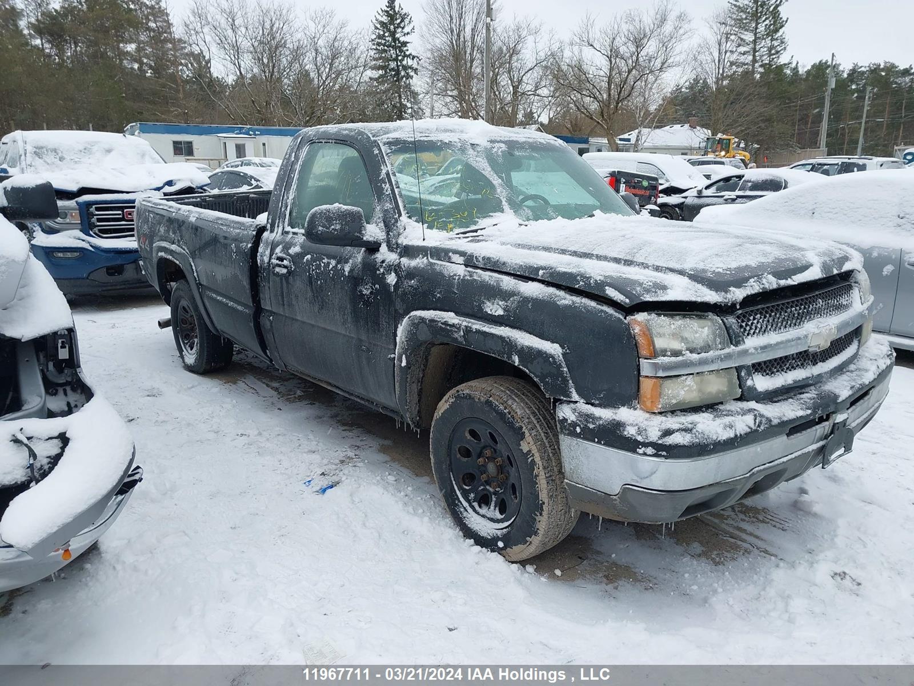 CHEVROLET SILVERADO 2003 1gcek14t43z198981