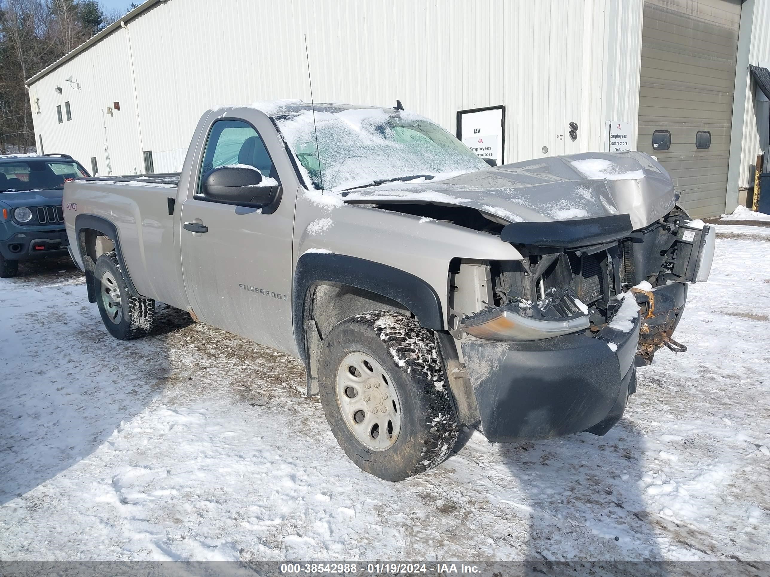 CHEVROLET SILVERADO 2009 1gcek14x69z207496