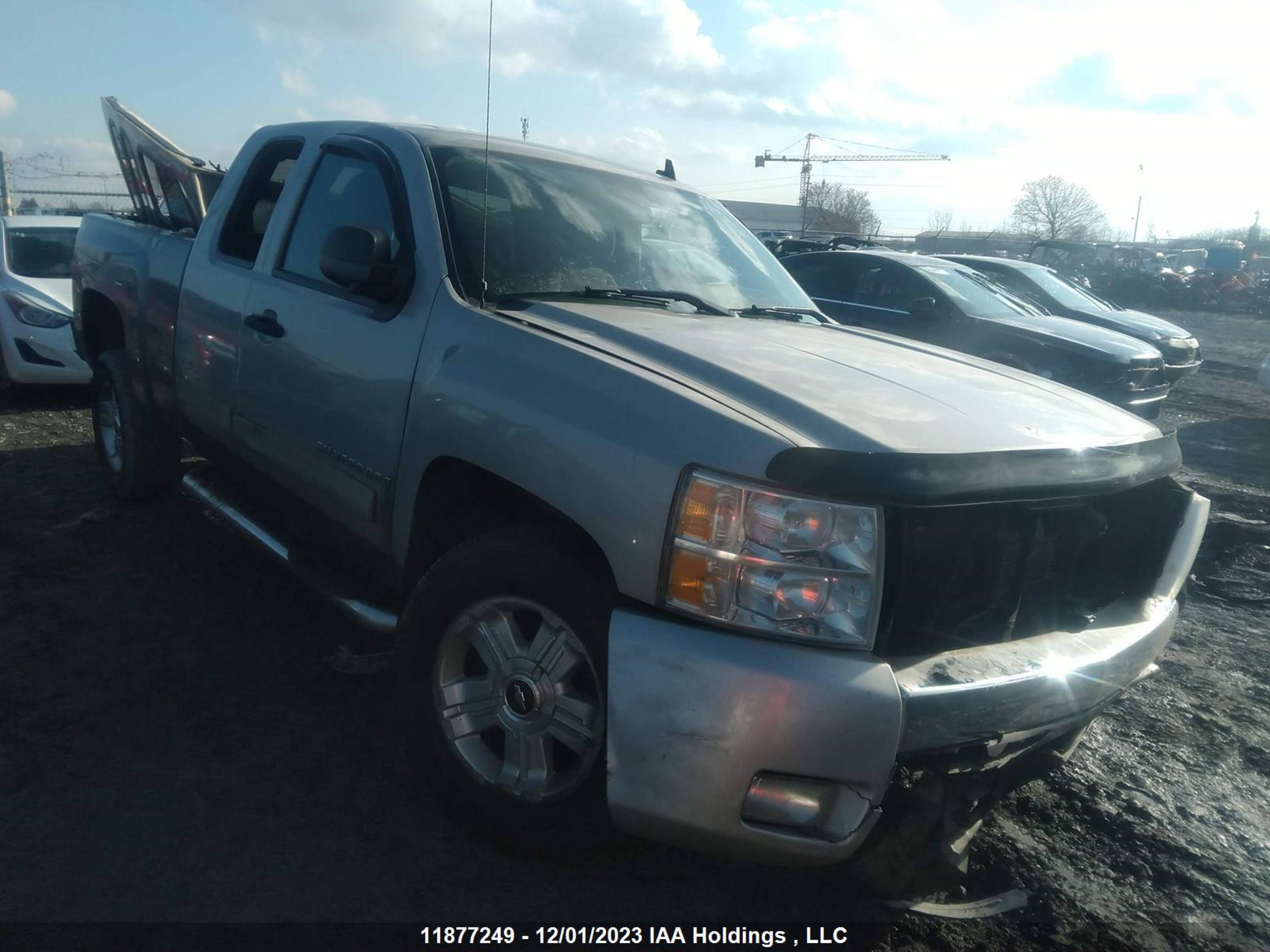 CHEVROLET SILVERADO 2008 1gcek19008z309418