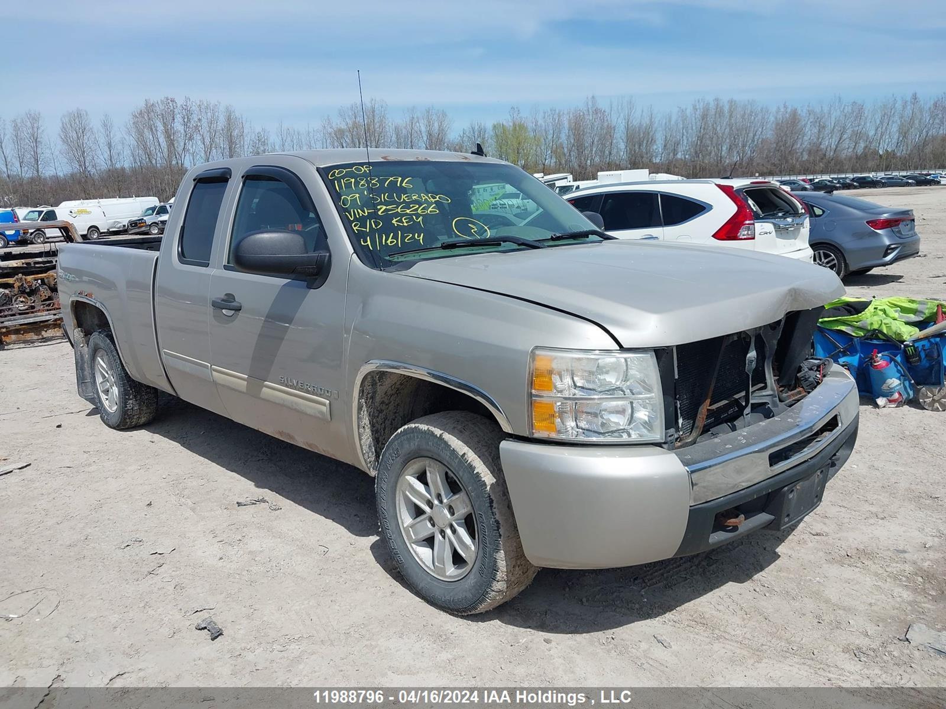 CHEVROLET SILVERADO 2009 1gcek19c69z256266