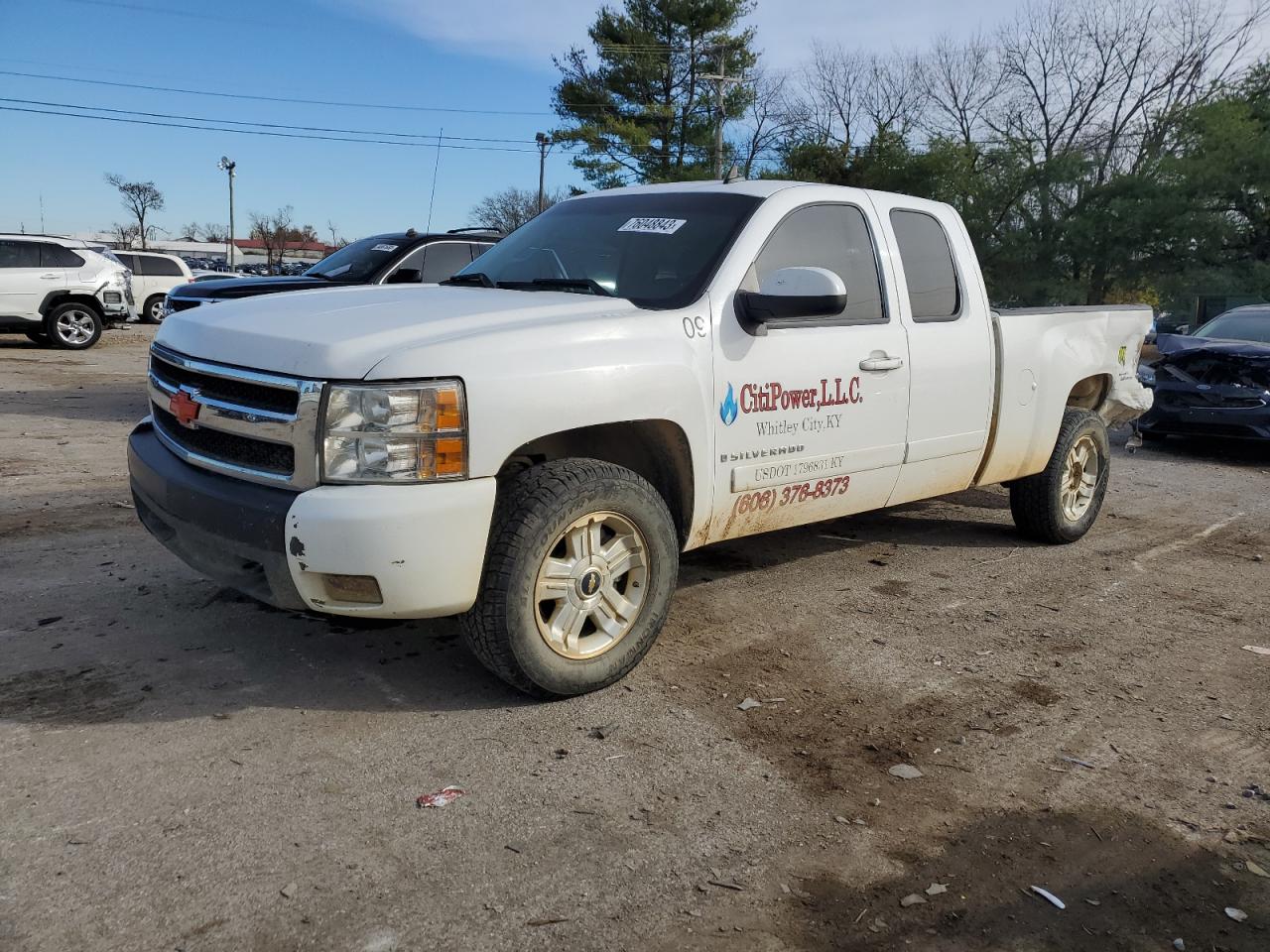 CHEVROLET SILVERADO 2008 1gcek19j78z267418